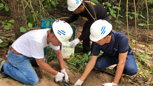 Aboitiz Cleanergy Park Welcomes the First and Second Pawikan Nests for 2023