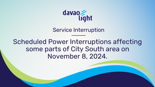 Service Interruption: November 8, 2024